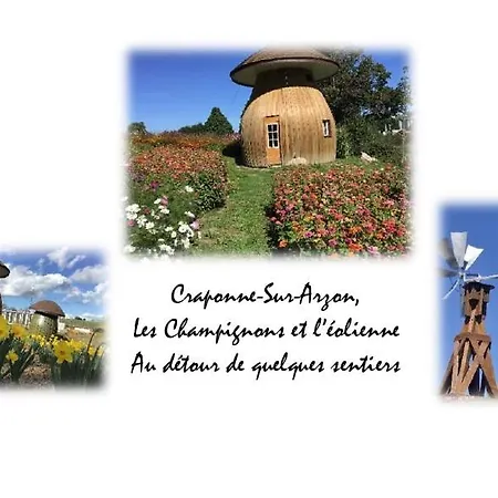 Bienvenue Au Detour De L'arzon, Craponne, 3 Ch, Jardin, Parking