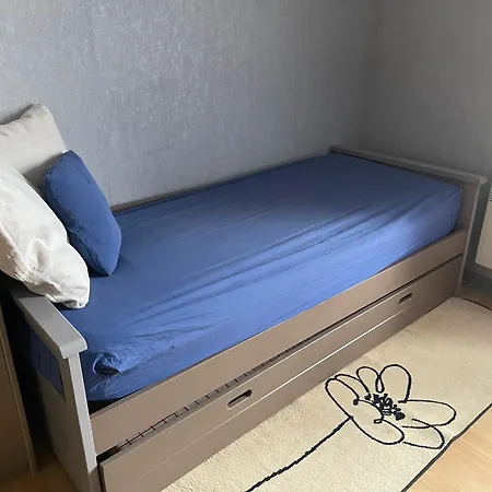 別荘 Bienvenue Au Detour De L'arzon, Craponne, 3 Ch, Jardin, Parking