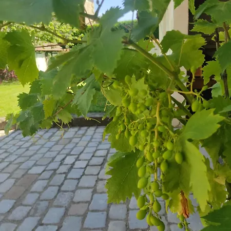 別荘 Bienvenue Au Detour De L'arzon, Craponne, 3 Ch, Jardin, Parking